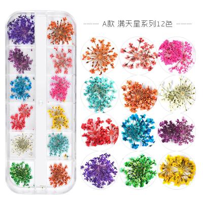 China Newest Nail Art Decoration 12 Colors DIY Supplies Dry Decoration Nail Accessories Flower Nail Art for sale