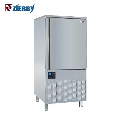 China Freezer Vertical Single Refrigerator Frozen Food Door Quick Refrigeration Hardware for sale