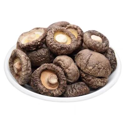 China Dried MOQ 1kg Wholesale Price Bulk Dried Shiitake Mushroom Lentinus Edodes for sale