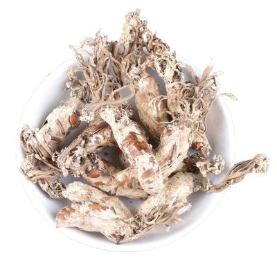 China Whole or Broken or Powder Chinese Herb Tea Jin chan hua Bulk  dried Cordyceps sobolifera Isaria cicadae Miq for sale for sale