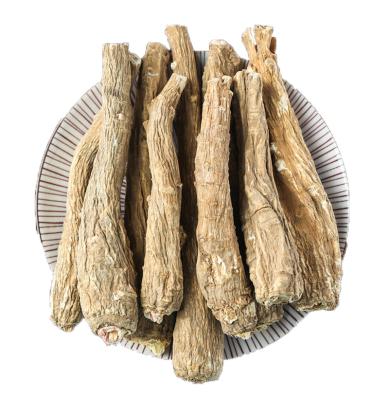 China Whole or Slice or Powder Chinese Herb Dried Radix Angelicae Dahurica Root Goods In Stock Bai Zhi for sale