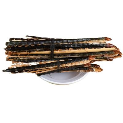 China Whole or Broken or Powder Chinese Herb Manufacturers Centipede Insects Health Food Wu Gong China Herb Spice Dried Centipede for sale