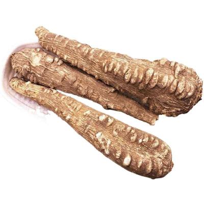 China Whole or Slice or Powder High Quality Chinese Herb Tea Radix Angelicae Dried Angelica Dahurica Root Bai Zhi for sale