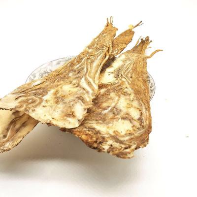 China Whole or Broken or Powder Dry Angelica Root Radix Angelicae Sinensis Dong Quai for sale