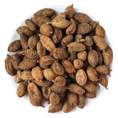 China Dried Sha Ren Natural Chinese Food Seasoning Amomi Fructus Spice Amomum Villosum For Household Cooking for sale