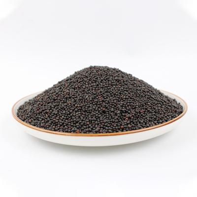 China Whole or Broken or Powder Chinese Single Spices Seasonings Charm Oil Spice Organic Black Mustard Seeds for sale