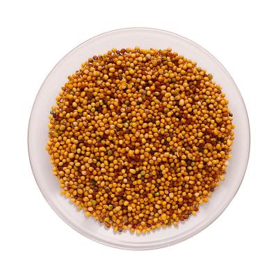 China Whole or Broken or Powder China Exporter Best Quality Organic Single Spices Brown Mustard Seeds for sale