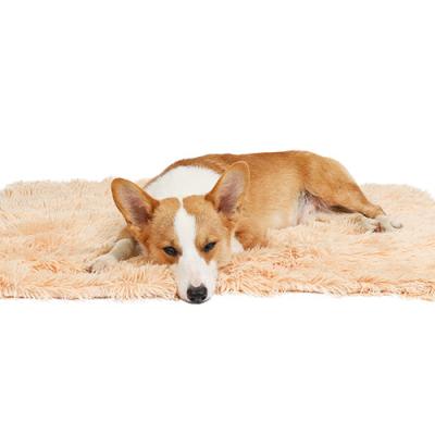 China 2021 Travel Drop Shipping Hot Sale Factory Direct Long Life Dog Cushion Cat Mattress for sale