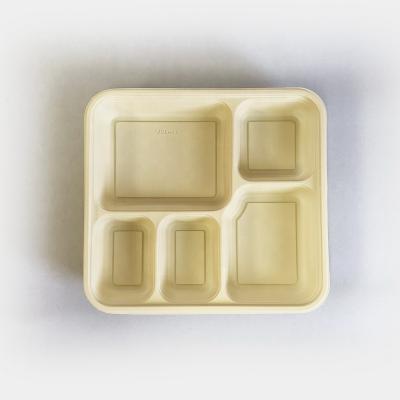 China Sustainable Disposable Biodegradable Tableware Cornstarch 5 Compartment Plastic Food Container With Lid / Lunch Tray With Lid for sale