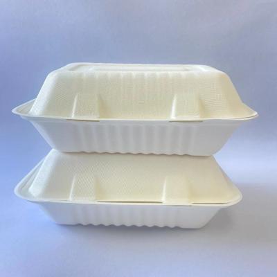 China Biodegradable Sugar Cane Paper Food Packaging Disposable Biodegradable Food Container for sale