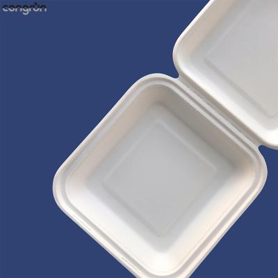 China Hot Selling Disposable 8 Inch Sugarcane Clamshell Food Container Bagasse Box for sale