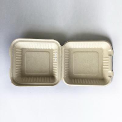 China Biodegradable Pulp Molding Disposable Lunch Box Food Box Sugar Cane Hamburger Molding Box for sale