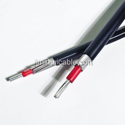 China Static Application 1000V Outdoor Aluminum Conductor PVC Insulated PVC Sheathed Concentric Cable 1*16mm2+16mm2 for sale