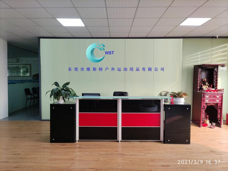 Verified China supplier - Dongguan Weisite Electronic Technology Limited