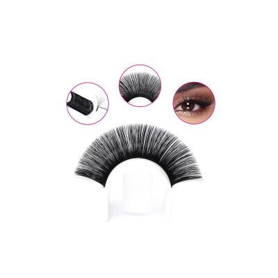 China Natural Soft Volume Fans Eyelash Extension Fan 16 Row Easy Eyelash Extensions for sale