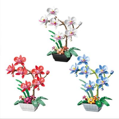 China Exquisite New Design Orchid Plant Flower Block Flower Block Series Toys Creative Diy Block Potted Phalaenopsis Exquisite Gift for sale