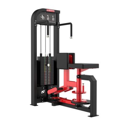 China Universal Pin Loaded Professional Gym Equipment Bodybuilding Rotary Torso Factory for sale