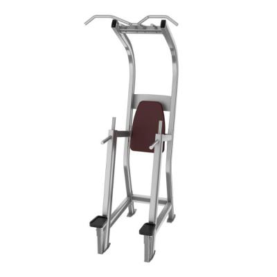 China Commercial Use Chin-Dip Leg Raise TZ-5019 Commercial Gym Equipment for sale