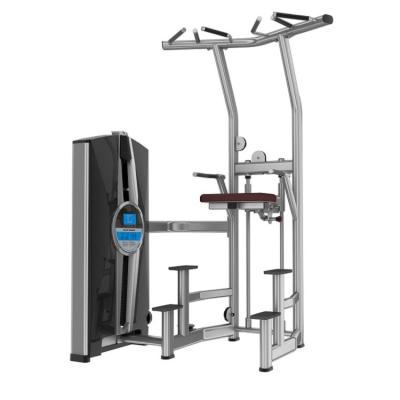 China Commercial Fitness Equipment Commercial Gym Use Automated Chin Up Chin Dip for sale