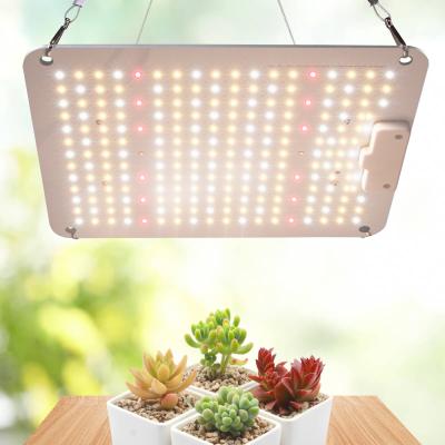 China Factory sale 100w indoor planting panel 660nm 730nm IR white full spectrum led new indoor light power grow tent panel light hudroponic for sale