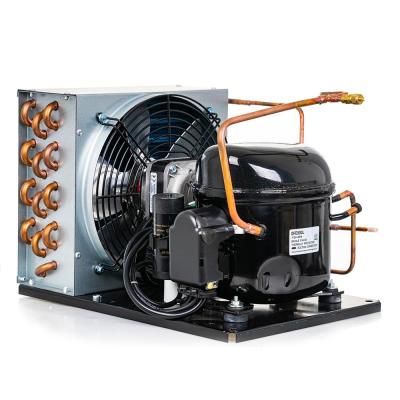 China food & Beverage Plant DFR30HF 220-240V 50HZ Refrigeration Condensing Unit for sale