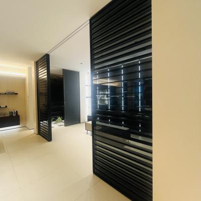 China Cloakroom Wardrobe Glass 3mm-12mm Thickness Black Wardrobe Closet for sale