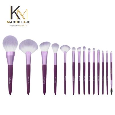 China 2021 14pcs Professional Makeup Brush Set Fashion Makeup Brushes Skin-friendly With Brush Bag for sale