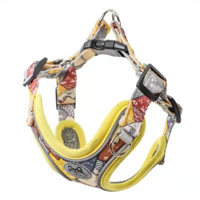 China Wholesale Colorful Adjustable Luxury Soft Nylon Stocked Mesh Pet Cat Dog Harness and Leash Set for sale