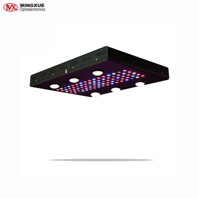 China Customized Seed Starting For 1000W Hydroponic Strawberries Led Grow Light Plant for sale