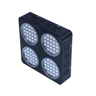 China VEG+BLOOM New Coming For 250W Cucumber Led Plant Grow Light for sale