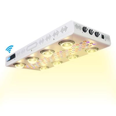 China Growing Lights 1000W Vegetable Greenhouse Flower Fruit Greenhouse High Lumen WIFI Horticulture WIFI LCD Hydroponics Grow LED CXB3590 Full Spectrum LED Light Plant COB Light LED Grow Light for sale