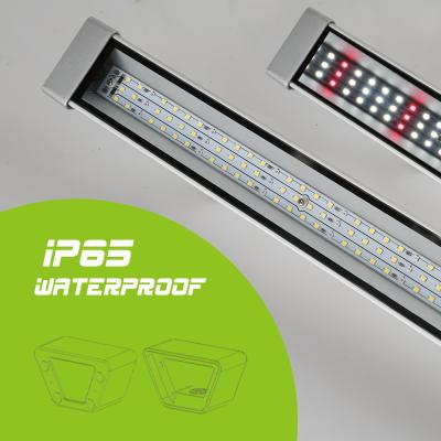 China Linear Hydroponics Low Power Consumption Flexible Starting Seed Led Grow Light for sale