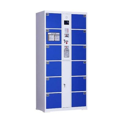 China Commercial Office Furniture Multi-Door Lockers with Keypad Auto Luggage Electronic Electronic Parcel Locker for sale