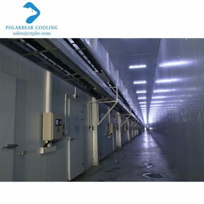 China Energy Saving Cold Storage Room Customized Cold Room Manufacturer Refrigeration Freezing Room For Frozen Meat Fish Chicken for sale