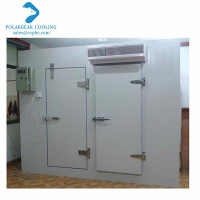 China High Quality Thermal Insulation PU Sandwich Panel Full Buried Cold Room Door for sale