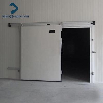 China Modern Cold Storage Manual Food Warehouse Sliding Door With Stainless Steel Locks And Handles for sale