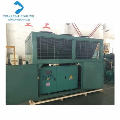 China Box Shaped Hotels Cold Room Condensing Unit With V Type Condenser For Refrigeration Industry for sale