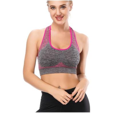 China Hot Women Sports Bra Stretch Push Up Fitness Vest Underwear Seamless Yoga Shockproof Padded Running Tops for sale