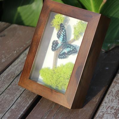 China Factory Good Quality 3D Deep Solid Wooden Display Insect Butterfly Specimens Frame Creatve Shade Box for sale