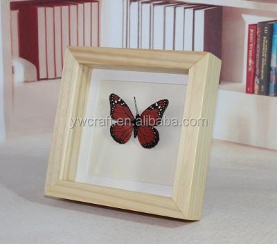 China New modern design 5x7 3d custom deep original wooden shados box frame for butterfly specimen for sale