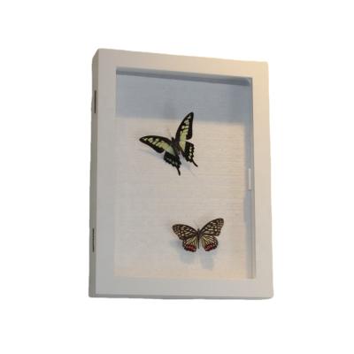 China High Quality Front 8x10 Display Butterfly Collection Wood Shadow Box Frame Hot Selling Open White Box Frame For HOME for sale