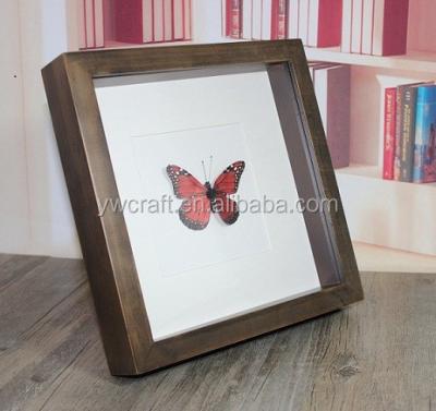 China Wholesale custom decoration display 6*8 butterfly 3d specimens wall shadow collect specimens box frame for sale