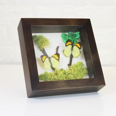 China Decorative Custom Wooden Frame Display Fresh Flowers Plant Butterfly Specimens Shade Box Frame With Glass Front for sale