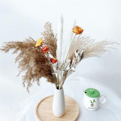 China 2022 New Simple Modern Natural Daisy Flowers Decor Artificial Gypsophila Cotton Bouquets Touch Dry Flowers Real Flower For Vase for sale