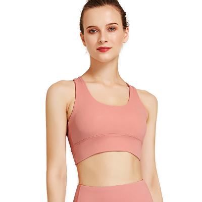 China New High Fashion Sports Bra Breathable Shockproof Gathering Stereotyped Fitness Bra Quick-Drying Vest Bra for sale