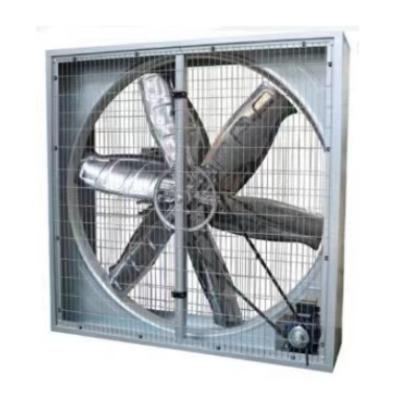 China Cow / Cattle Stable Exhaust Fan / Dairy Farm Equipment Barn Exhaust Fans for sale