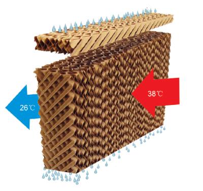 China Greenhouse/Poultry Farm Brown Cellulose Water Cooling Pad /evaporative Cooling Pad for Greenhouse and Poultry Farm for sale