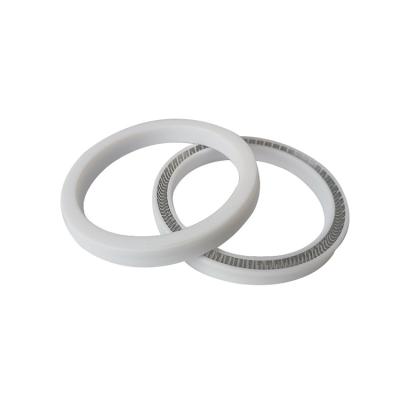 China Low performance PTFE spring PTFE vari starting seal Activated Rod Seal for sale