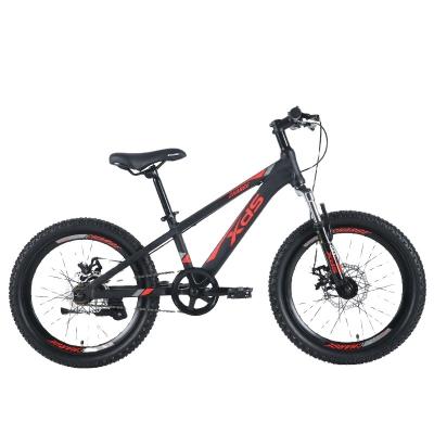 China Xidesheng steel children's bicycle 2020 load number for men and women 18/20 inch disc brake double suspension bicycle for sale