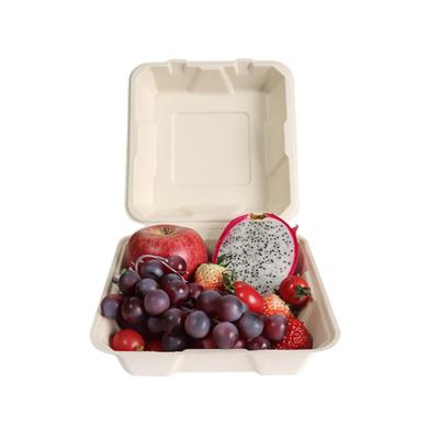 China Factory Price Modern Renewable Sugarcane Bagasse Bowl With Lid Factory Sugarcane Pulp Lunch Tray for sale